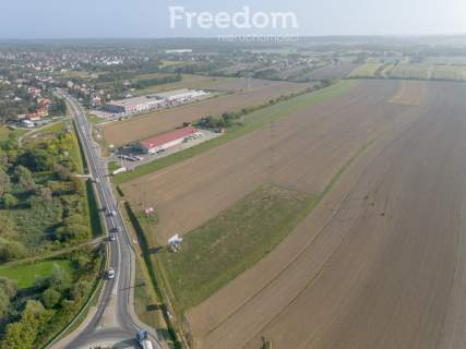 Działka pod inwestycję w Żabnie
