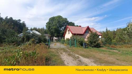 Sprzedam przeurocze siedlisko w lesie