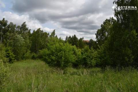 Działka rekreacyjna 3013 m2 w Nowych Polaszkach, blisko jeziora...