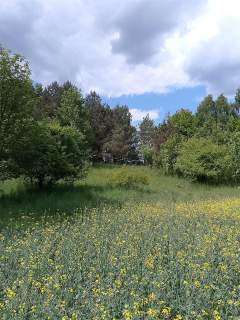 Działka budowlana - Graniczna Wieś