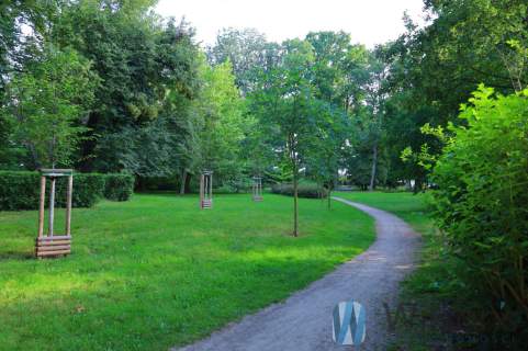 Wielki ogród.. Widok na park. Spokojna okolica