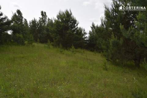 Działka rekreacyjna 3013 m2 w Nowych Polaszkach, blisko jeziora...