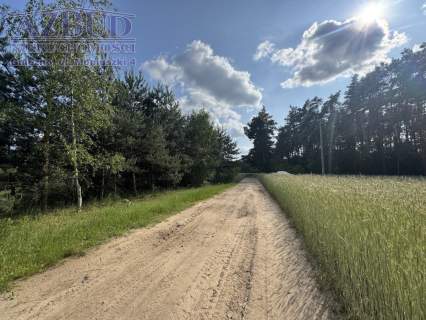 Działka siedliskowa na sprzedaż, 2900 m2, Ochodza