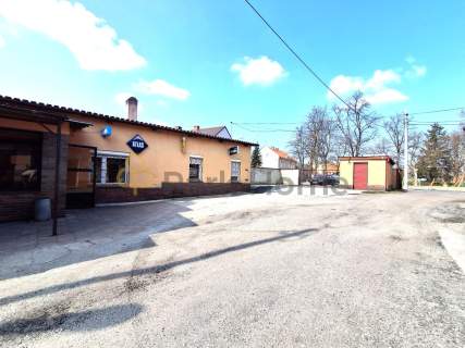 Duży lokal w centrum miasta