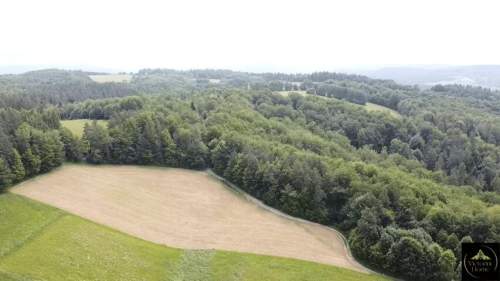 Bieszczady - wyjątkowe działki widokowe w Woli Matiaszowej.