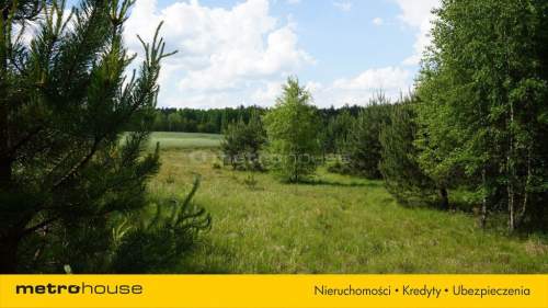 Ekskluzywna działka w lesie w Borach Tucholskich 