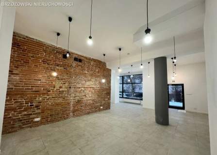 Muranów, 140 m2, usługowy, 2 lokale, wynajęte