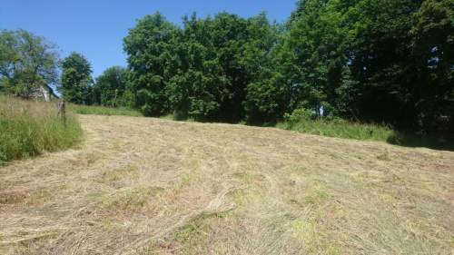 Cieszyn - Mnisztwo 4 działki, uzbrojone, obok lasu
