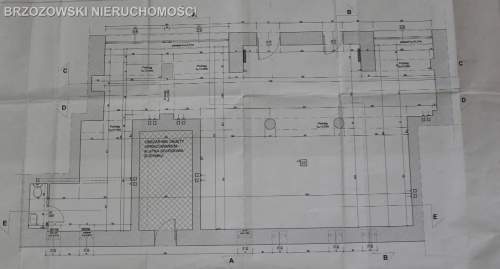 Muranów, 140 m2, usługowy, 2 lokale, wynajęte