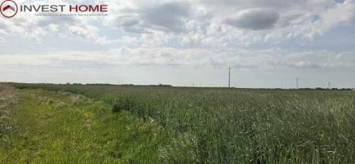 Atrakcyjna cena za działki 2,5 km od Wrześni