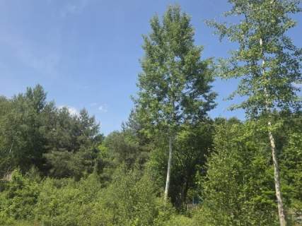 za Sarnią, 3 do wyboru, warunki zabudowy