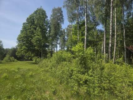 za Sarnią, 3 do wyboru, warunki zabudowy