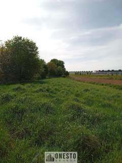 Działka usługowa przy S19, Snopków