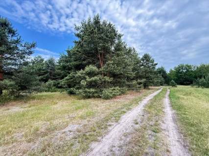 Duża działka inwestycyjna w Sownie, gmina Stargard