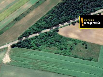 Działka rolna Wierzbie - 11000 mkw.