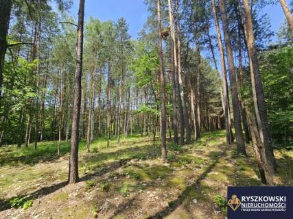 Działka budowlana 10 ar promocja do końca kwietnia