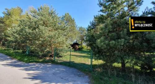 Działka budowlana z domkiem, rzeka, cisza, natura