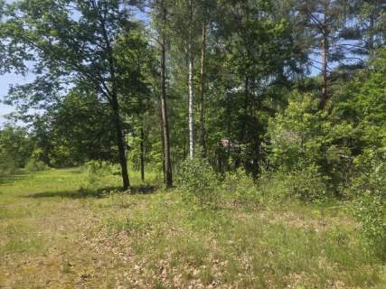 za Sarnią, 3 do wyboru, warunki zabudowy