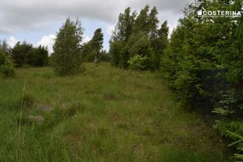 Działka rekreacyjna 3013 m2 w Nowych Polaszkach, blisko jeziora...