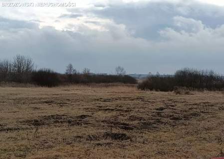 Reguły, 4000 m2, mieszkaniowa, bliźniacza