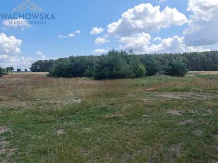 Działka 3053m2 - Głogusz gm. Sulechów