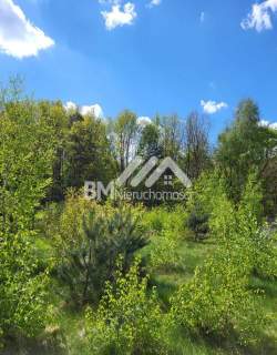 Owczarnia, blisko WKD