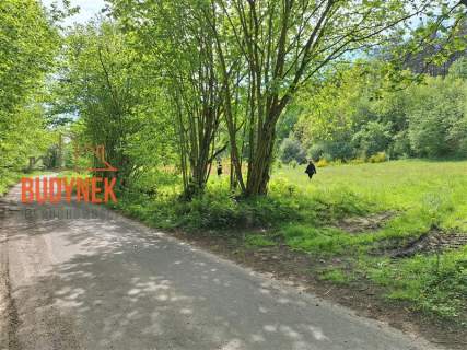 Działka siedliskowa - Paproty