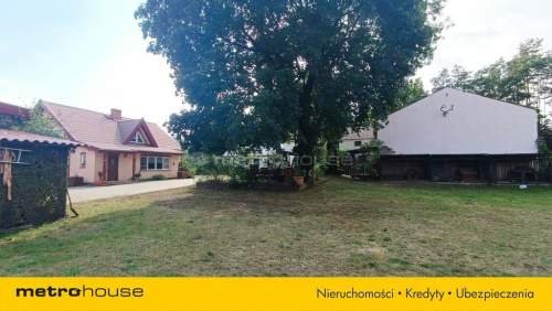 Sprzedam przeurocze siedlisko w lesie