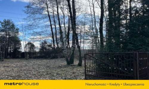 DZIAŁKA DLA KONESERA CISZY I SPOKOJU