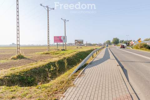 Duża działka pod inwestycję w Żabnie
