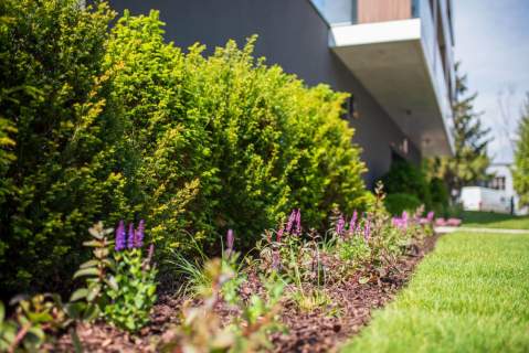Najlepszy apartament w inwestycji nad Jeziorem Dąbie z mariną,...