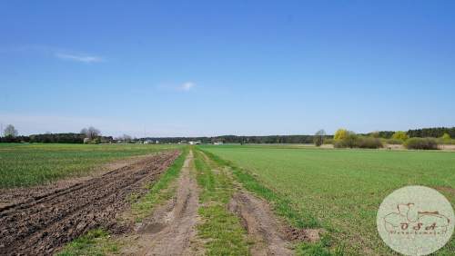 Budowlana 822 m2 MPZP bliźniak szeregowiec