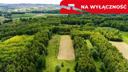 Działka rolna - 4677 m Skrzyszów
