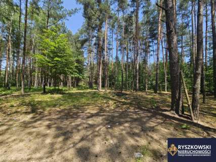 Działka budowlana 10 ar promocja do końca kwietnia