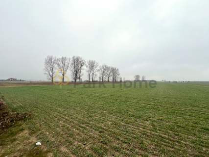 Działka budowlana na sprzedaż w Święciechowie.