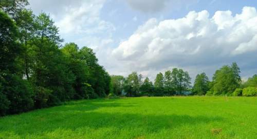 Działki budowlane w dobrym miejscu 