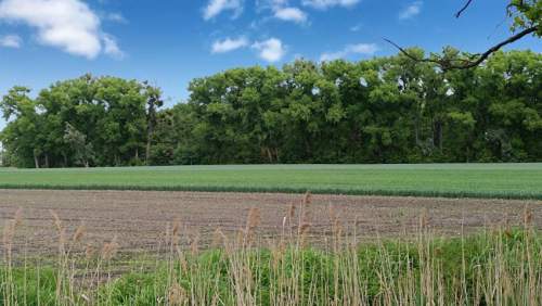 Działka usługowa przy A4, 10.001 m2, Wojkowice/Żórawina