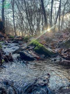 Nowa Cena Działka z dostępem do rzeki i naturalny