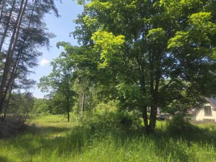 za Sarnią, 3 do wyboru, warunki zabudowy