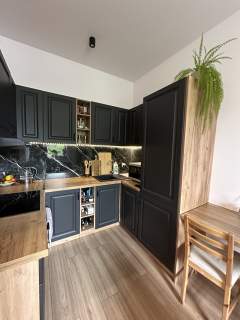 Mieszkanie Katowice Śródmieście/Załęże 29,4m2