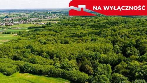 Działka leśna w Skrzyszowie