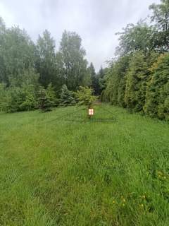 Działka o powierzchni 46a w Borownicy, gm.Bircza