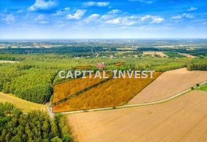 Działka rekreacyjna na sprzedaż, 33031 m2, Dąbrowa