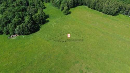 Sprzedam działkę 2,57 h - Borownica, gm. Bircza
