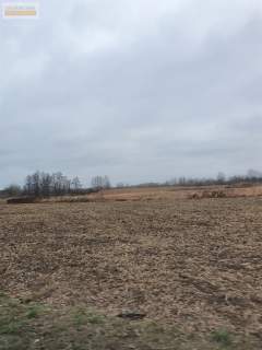 Działka inwestycyjna, rolna1,53 ha, Kiełczówek