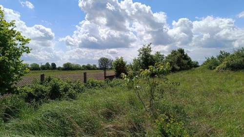 Ścinawa, gm. Oława, Mn i Mu, 2299 m2