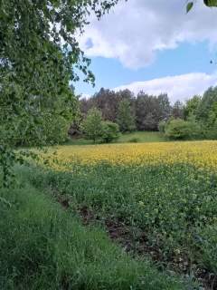 Działka budowlana - Graniczna Wieś