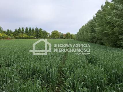 Działka 1107m2 z warunkami zabudowy Ostaszewo