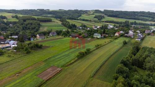 Działka budowlana z widokiem na iglasty las