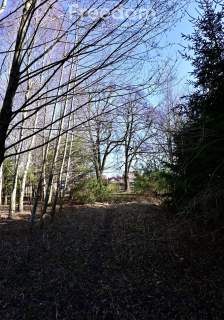 Dom z dużą działką 3700 m
